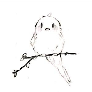 shenguiwu's profile picture. 