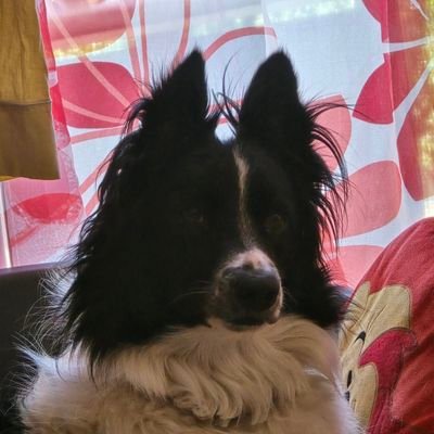 Florys2b's profile picture. 