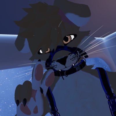 🚫 Minors, Zoos, Pedos DNI🚫 NSFW Account. Hey I’m Nova Ashwolf, I’m an 19 year old Software Engineer