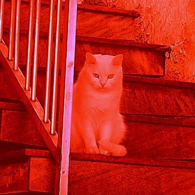 Ache belo tudo o que puder, a maioria das pessoas não acham a vida bela o suficiente🌃
Tudo começa pelo sangue👹