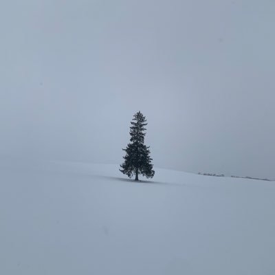 lifexxit's profile picture. 여성 투자 구독계🥹🙏❤️‍🔥썰지말아주세요 ㅠㅠ