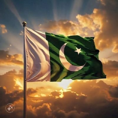 Obayd_Ul_Rehman's profile picture. Patriotic
Remember the Fallen