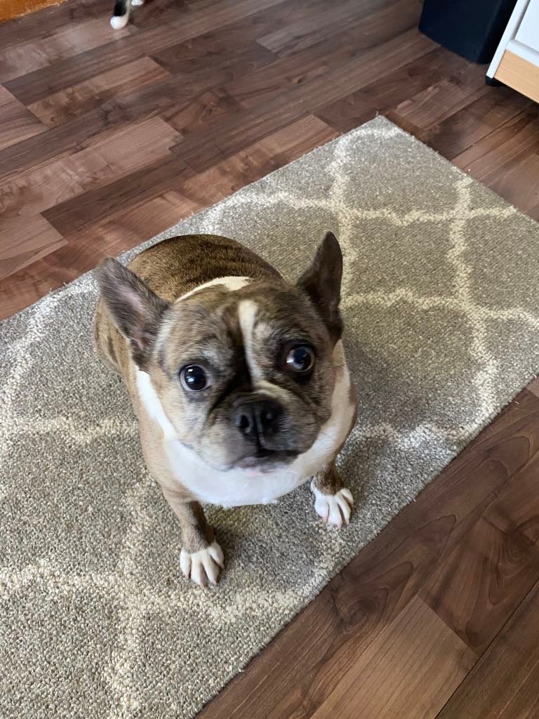 LouHiggins218's profile picture. 