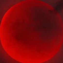 _Enqui_'s profile picture. .