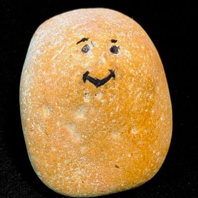 Un homme et sa Pierre et ses chats etc, une sorte de grand mix de...
Viens, allez...y'a #Pierre aussi.
#geek #athle #fun #chat #maLife #ia #jump #immaturité