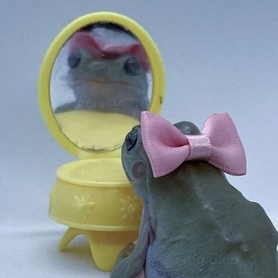 bertanovas's profile picture. 