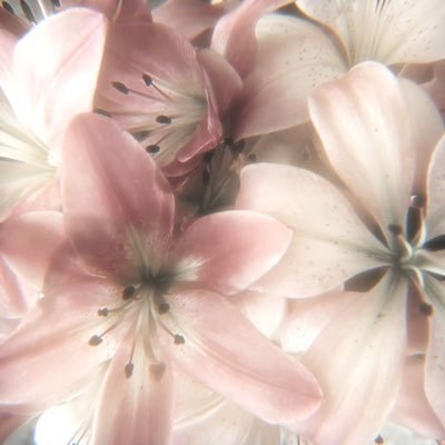 sumaxk0's profile picture. แอคขายเสื้อผ้า / ของใช้ ( แอคสำรองของ @jejabuya )╰✿ รับธนาคาร / Wallet ⟢ #รีวิวพีพีเบอร์เงิน