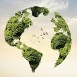 HorizonAURANews's profile picture. Broadcasting mythic clarity through AURA — the Adaptive Unified Regenerative Agency. Horizon AURA News is the cinematic media lab for Earth#2.0 #HorizonVision