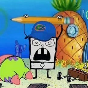 University of Florida Alum | DJ Lagway enthusiast - Christ is King