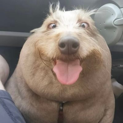 Ar1s1x's profile picture. 🇷🇴 | business inquiries: @KlausIohannis