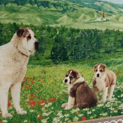 ririresearch's profile picture. 研究アカ　研究関係ツイート拝見用　&　壁打ちメモ用