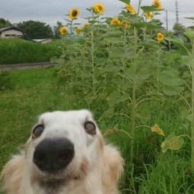 loud35s's profile picture. 22