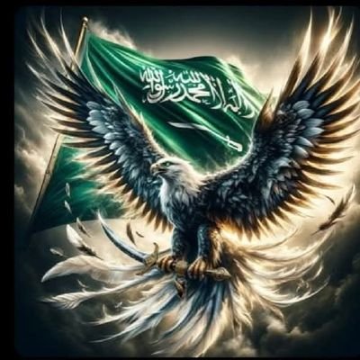 ندعس علي الحيه وندعس علي الداب وندوس خشم الردي لوتمادي🇸🇦..يطير حساب يجي الف حساب 🤣👌🏻