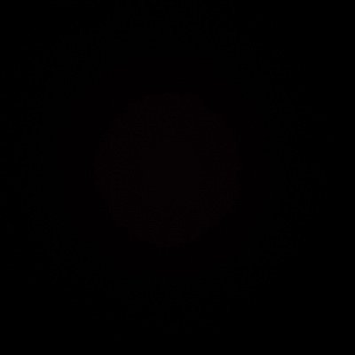 yassine05x's profile picture. 🦁