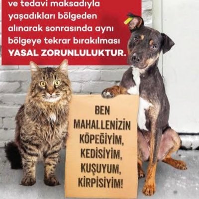 Bütün hayvanları cok seviyorum.İnsanlarınsa cok küçük bir kısmını.