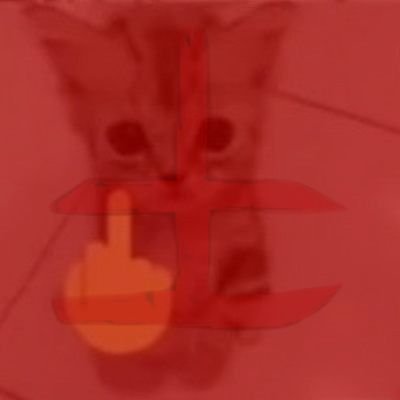 Biscoitadinho's profile picture. 