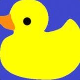 duckGuesses (@theduckguesses) 's Twitter Profile