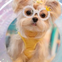 MartinaFranklin (@4yrr57g9nxgcb) 's Twitter Profile