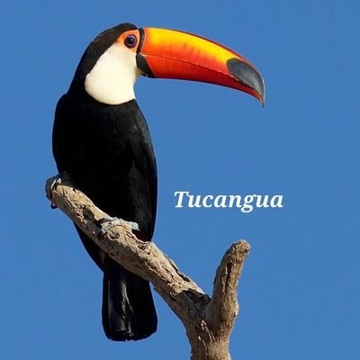 Arturo249716's profile picture. 