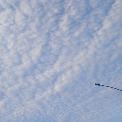 miripmas's profile picture. 