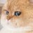 mrbusysky's profile image