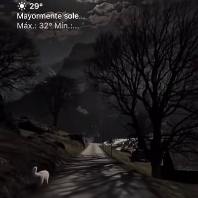 Jose12772273281's profile picture. 