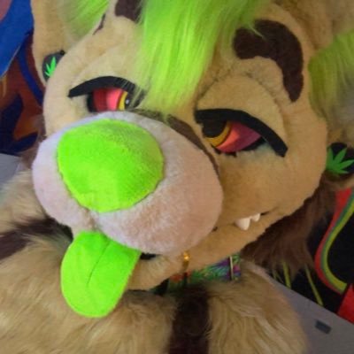 Taken • 25 • She/Her • 𓃥 Hyena • DMs Open • 🔞 MDNI • Plus Size • NSFW • Sub • Straight • Stoner𖠞• BBW • Personal Acc & NSFW Acc • Gamer • College Student 🪼