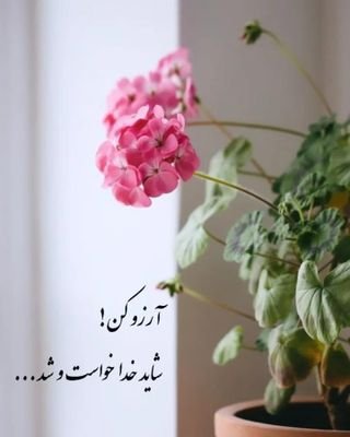 Beh6010's profile picture. 