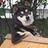 RetweeterDog's profile image