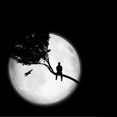 Sami_Taker1's profile picture. Self confidence and courageous ❤️✌️