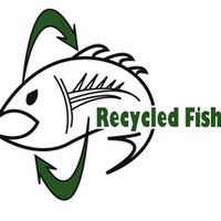 Recycled Fish (@recycledfish) 's Twitter Profile