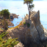 diNupn4Ea728621's profile picture. 楽器演奏、筋トレ、電子工作を趣味とする友人を大切にする、オープンマインド、スポーツティ人物です。早期退職を計画中、新しい挑戦を続けています。