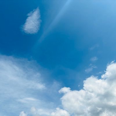 x_isname's profile picture. 