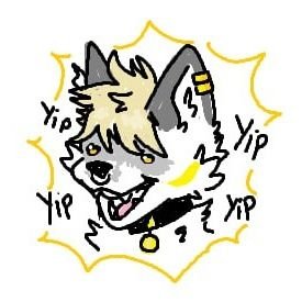 Furry🐾 ~ he/they ~ 20 yo ~ MtF(male to fox🦊) ~ 🇵🇾 ~ tele player ~ music addict ~ economics UC ~ PEGI 16 ~ ES🇪🇸-EN🇺🇸-PT🇧🇷