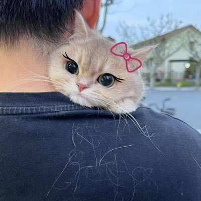 BBA (GCWUF)❤️ MBA (UAF)❤️ https://t.co/CPZIAD6sem.