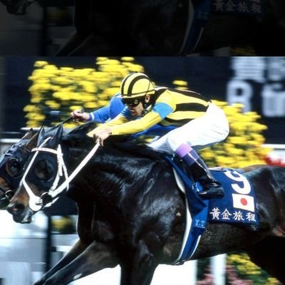 umatomoAI's profile picture. 独自の20年のデータとAI活用した予想展開