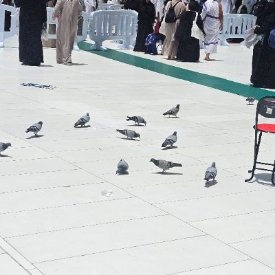 Eccedentesiast 🌸🦋🌼
Lecturer Higher Education Department 🧑🏫
PhD in Mind sciences 🧠 👩🏻🎓
🇵🇰 🇮🇹 🇳🇴