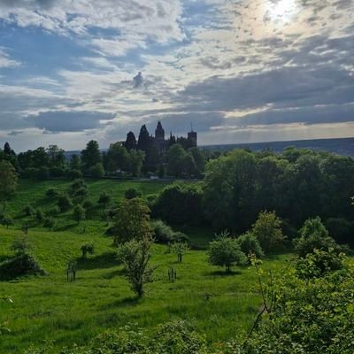 ka10_kk's profile picture. ...