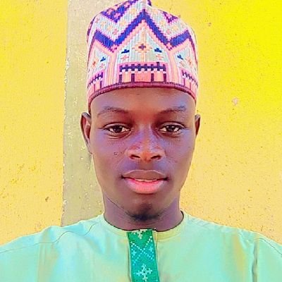 kingmuhammadu's profile picture.