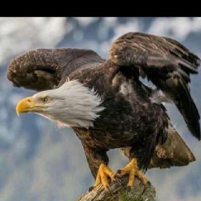 Crypto and Web 3.0 research enthusiast|| Digital Marketer