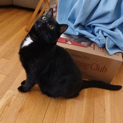 MasterKaos124's profile picture. 