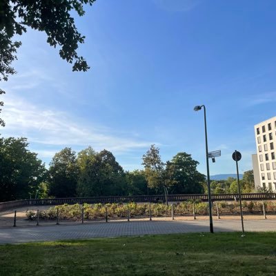 user02062828's profile picture. 