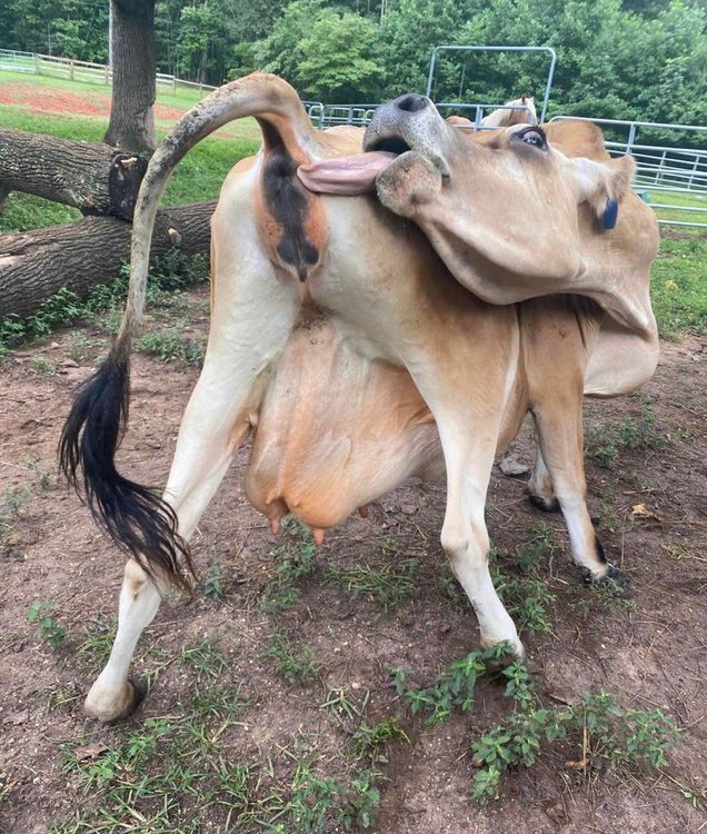 BadAssNana64's profile picture. 