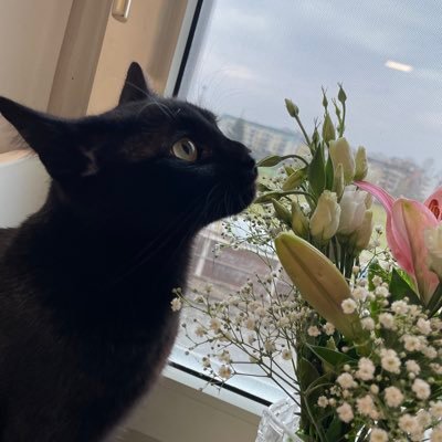 Leviathan__14's profile picture. 