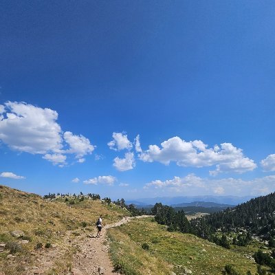 EskCrls's profile picture. 🌐                                                            655