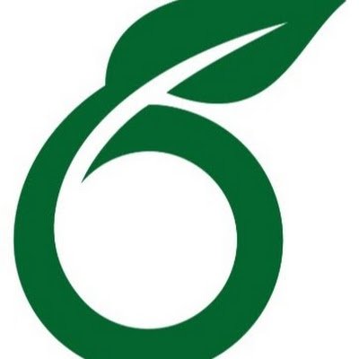 OverleafR88725's profile picture. 