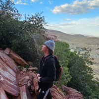 Asher Hamblin (@asherhamblinugc) 's Twitter Profile