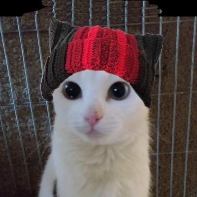 25 | cripple punk | ACAB | artist | collector of forgotten things | pokemon | twentyønepiløts |-/