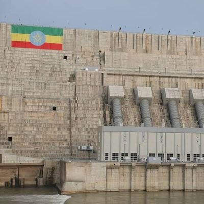 gezu98151's profile picture. 