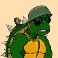 Turtle Dave (@turtledaave) 's Twitter Profile